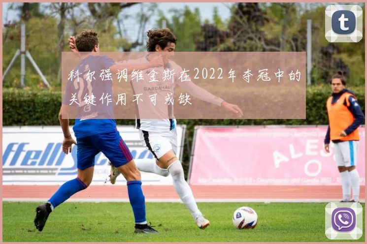 科尔强调维金斯在2022年夺冠中的关键作用不可或缺